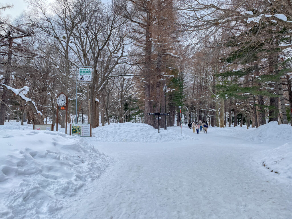 円山公園冬