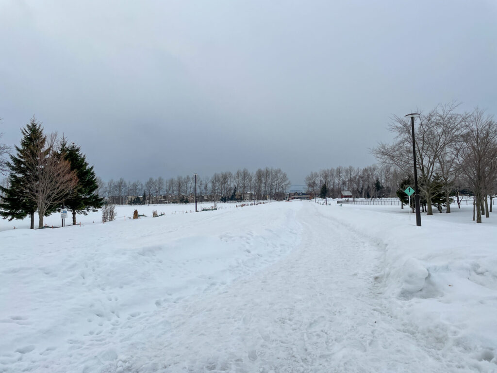 川下公園冬水場