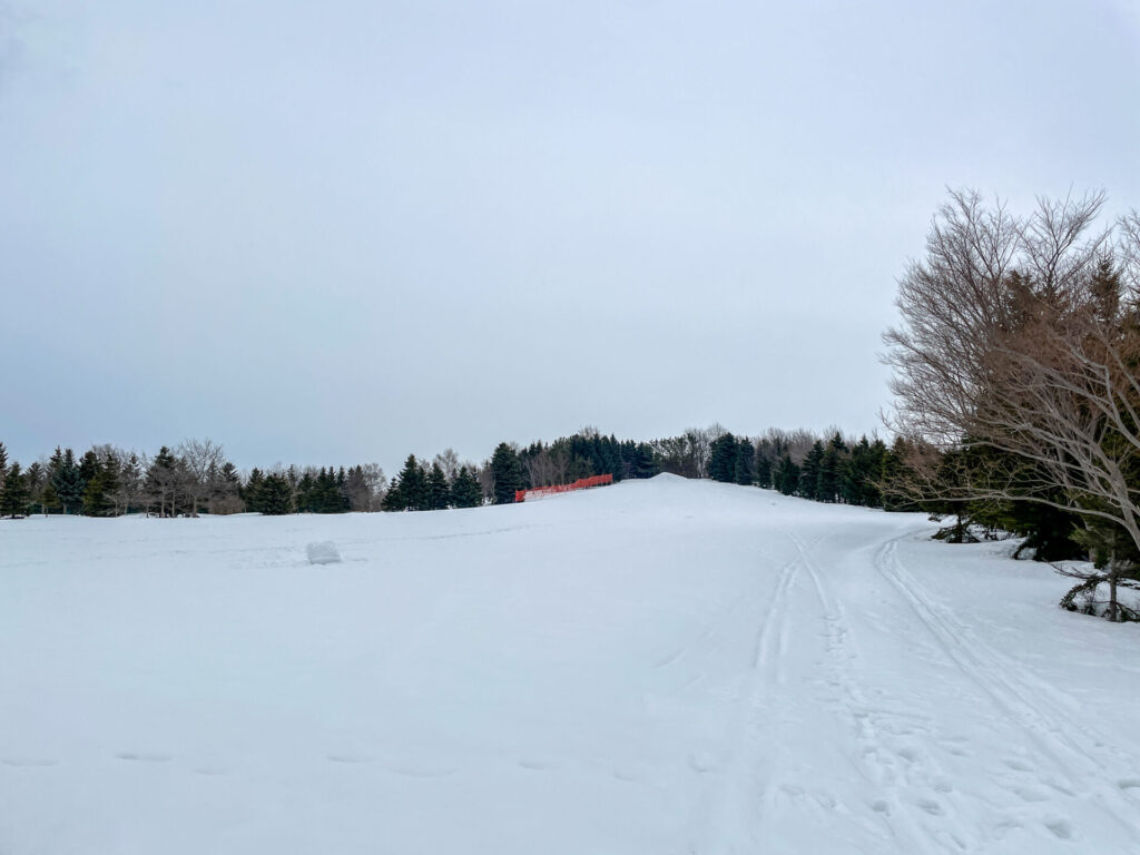 川下公園冬雪山